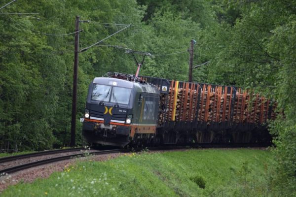 vrgojstrs5mn9d2orf63